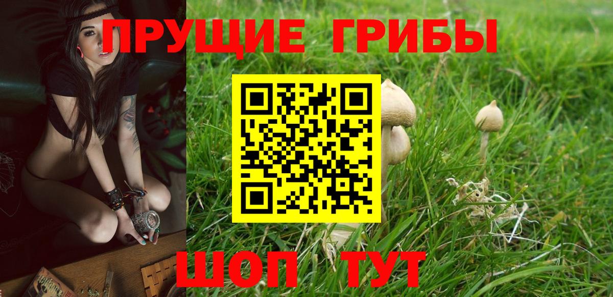 Галлюциногенные грибы мицелий Нижневартовск