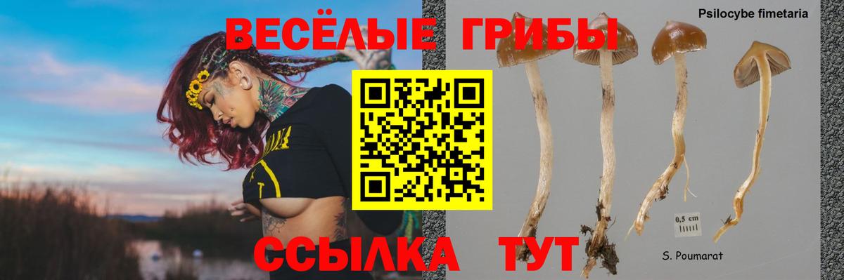 Галлюциногенные грибы Cubensis  Вход с VPN  Нижневартовск 